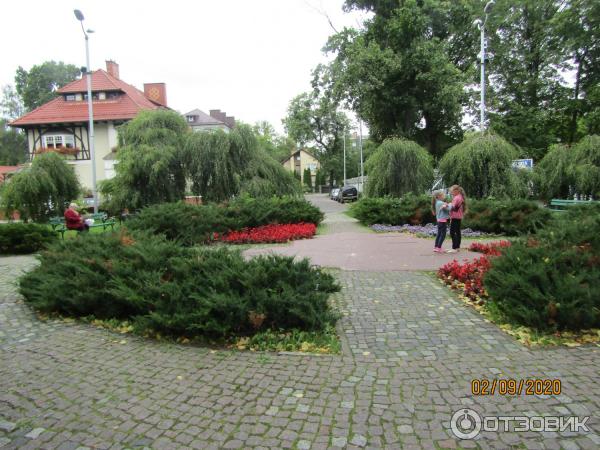 Прогулка по Амалиенау (Россия, Калининград) фото