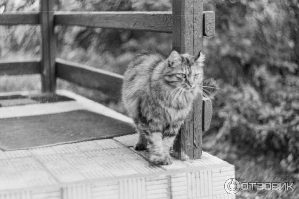 Пленочный зеркальный фотоаппарат Зенит-11