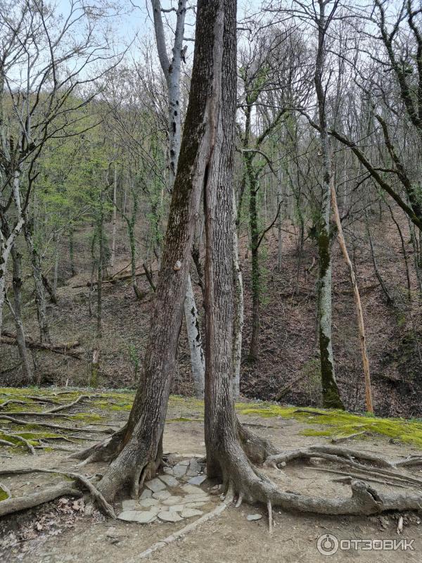 Гебиусские водопады (Россия, Краснодарский край) фото