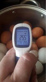 Термометр инфракрасный Sensitec NF-3101 фото