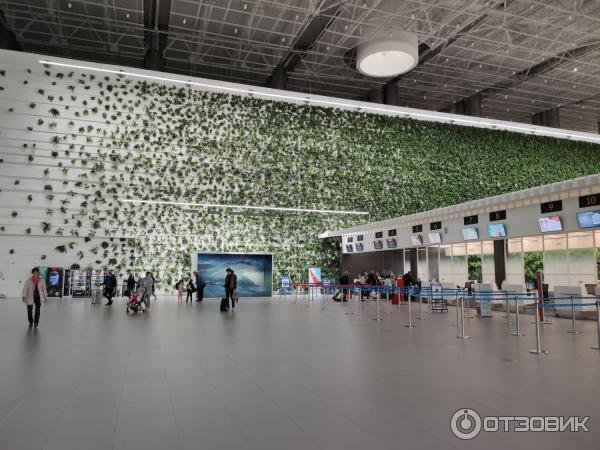 Международный аэропорт Симферополь (Крым) фото