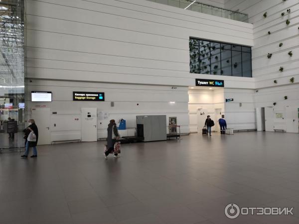 Международный аэропорт Симферополь (Крым) фото