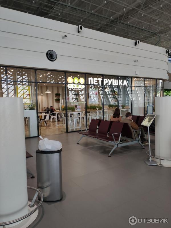 Международный аэропорт Симферополь (Крым) фото