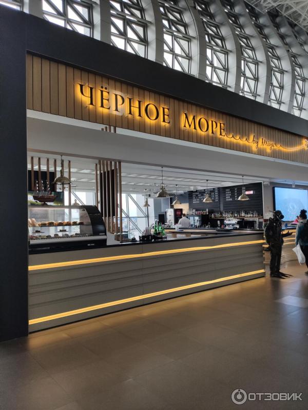 Международный аэропорт Симферополь (Крым) фото