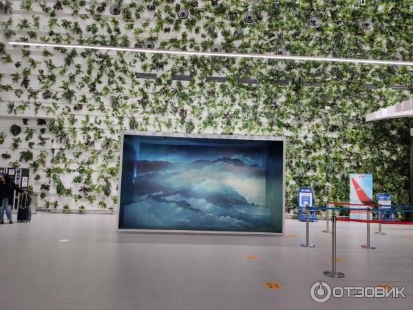 Международный аэропорт Симферополь (Крым) фото