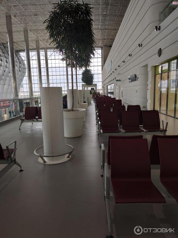 Международный аэропорт Симферополь (Крым) фото