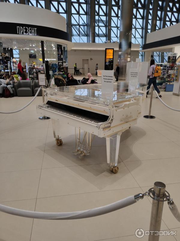 Международный аэропорт Симферополь (Крым) фото