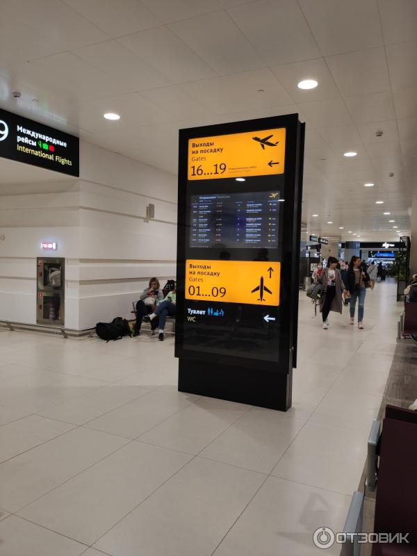 Международный аэропорт Симферополь (Крым) фото