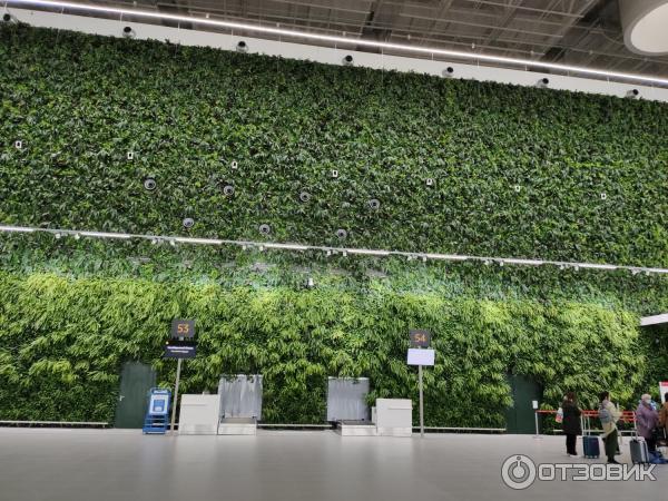 Международный аэропорт Симферополь (Крым) фото