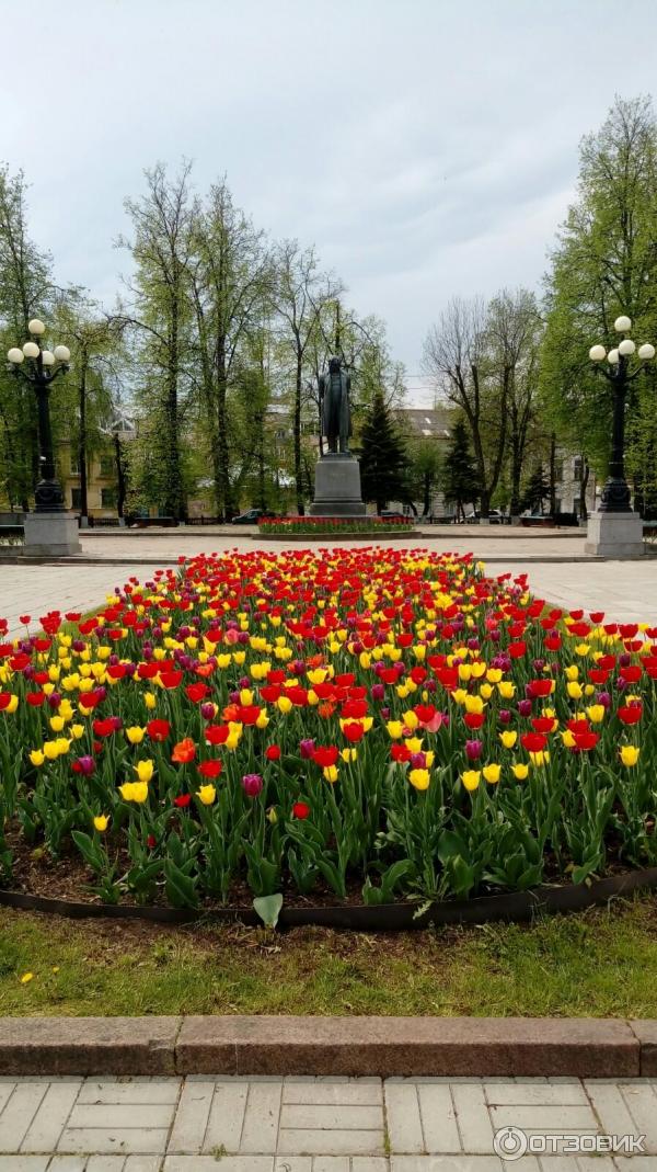 Сквер И. А. Крылова (Россия, Тверь) фото