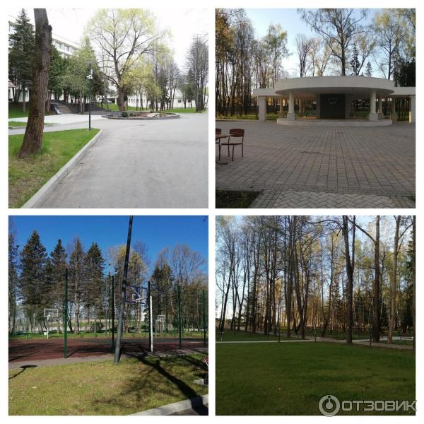 Санаторий Амакс Курорт Новая Истра (Россия, Истра) фото