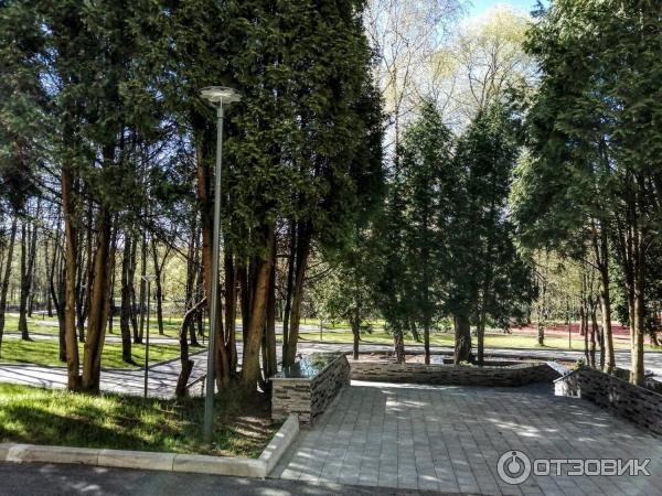 Санаторий Амакс Курорт Новая Истра (Россия, Истра) фото