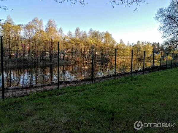 Санаторий Амакс Курорт Новая Истра (Россия, Истра) фото