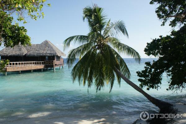 Отель Bandos Island Resort 4* (Мальдивы) фото