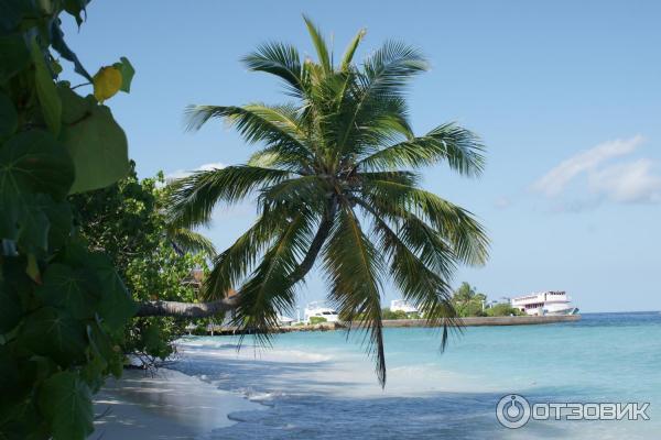 Отель Bandos Island Resort 4* (Мальдивы) фото