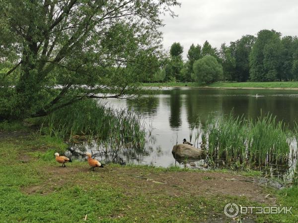Гостиница Измайлово Дельта 4* (Россия, Москва) фото