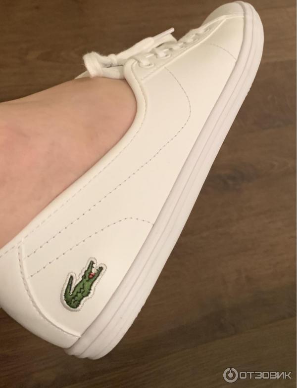 Женские кеды Lacoste фото