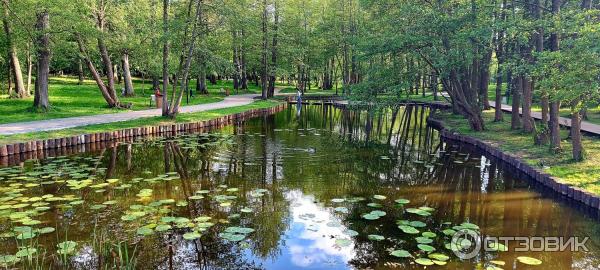 Достопримечательности Зеленоградска (Россия) фото