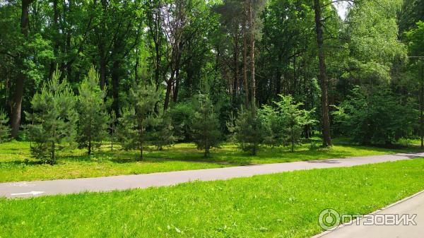 Центральный парк культуры и отдыха им. П. П. Белоусова (Россия, Тула) фото