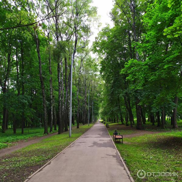 Центральный парк культуры и отдыха им. П. П. Белоусова (Россия, Тула) фото