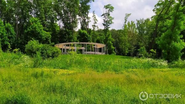 Центральный парк культуры и отдыха им. П. П. Белоусова (Россия, Тула) фото