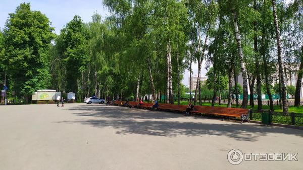 Центральный парк культуры и отдыха им. П. П. Белоусова (Россия, Тула) фото