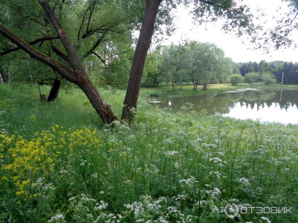 Дендрологический парк (Россия, Переславль-Залесский) фото