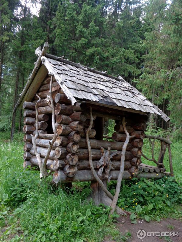 Дендрологический парк (Россия, Переславль-Залесский) фото