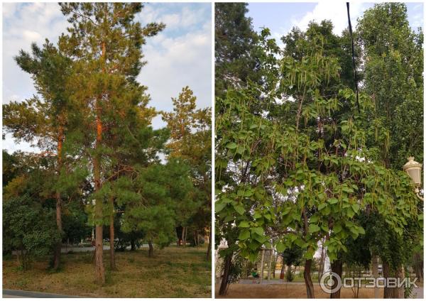 Центральный парк культуры и отдыха имени Горького (Россия, Волгоград) фото