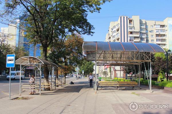 Сквер Романовский Воронеж остановка