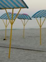 Отдых в поселке Курортное (Одесская область) фото