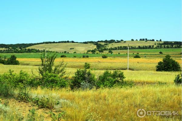 Природный парк Щербаковский (Россия, Волгоградская область) фото