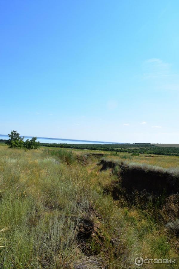 Природный парк Щербаковский (Россия, Волгоградская область) фото