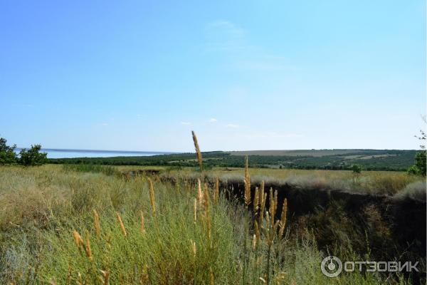 Природный парк Щербаковский (Россия, Волгоградская область) фото