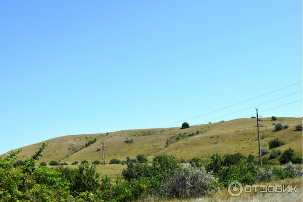 Природный парк Щербаковский (Россия, Волгоградская область) фото