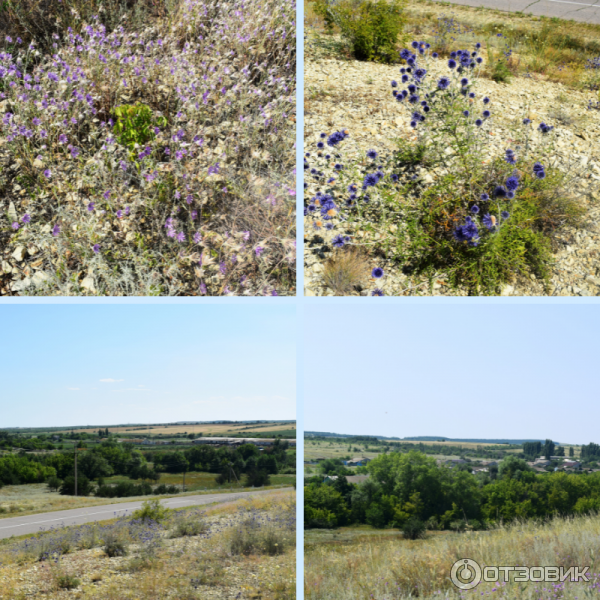 Природный парк Щербаковский (Россия, Волгоградская область) фото