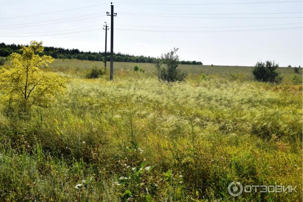 Природный парк Щербаковский (Россия, Волгоградская область) фото