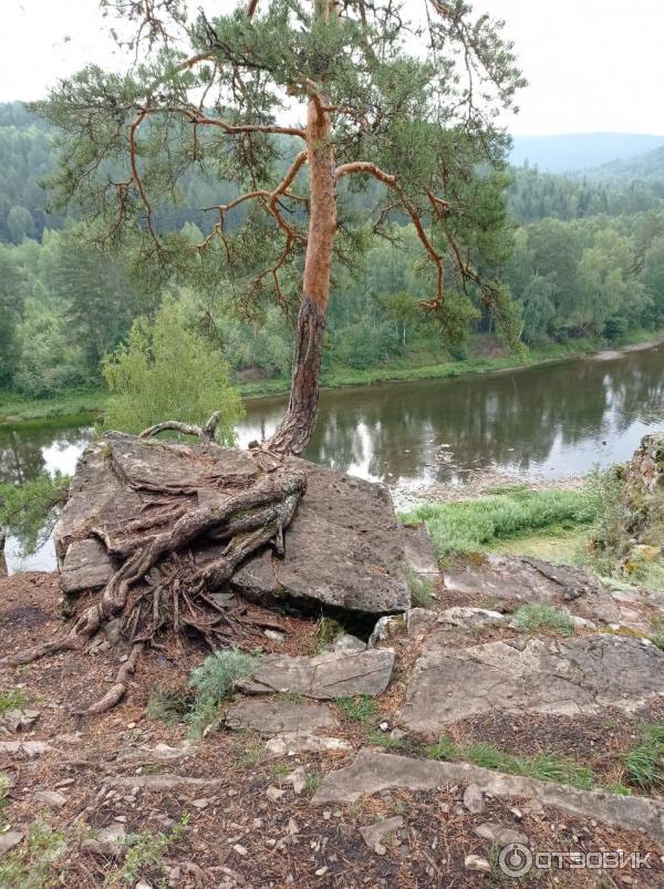 Сплав по реке Юрюзань (Россия, Челябинская область) фото