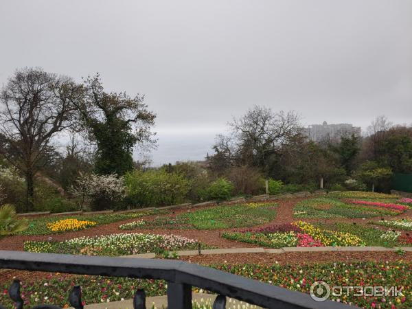 Выставка тюльпанов в Никитском Ботаническом саду (Крым, Ялта) фото