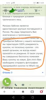 Магазин тропических бабочек "Магазин бабочек ру" (Россия, Москва) фото