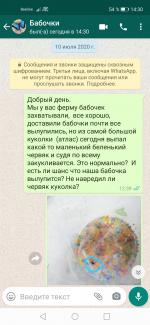 Магазин тропических бабочек "Магазин бабочек ру" (Россия, Москва) фото