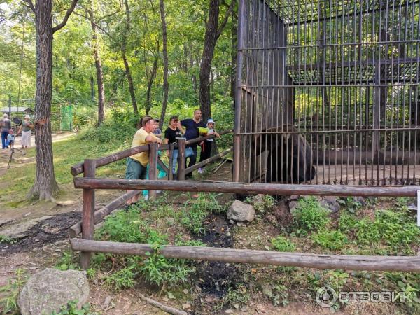 Дальневосточный зоосад им. В. П. Сысоева (Россия, Хабаровск) фото