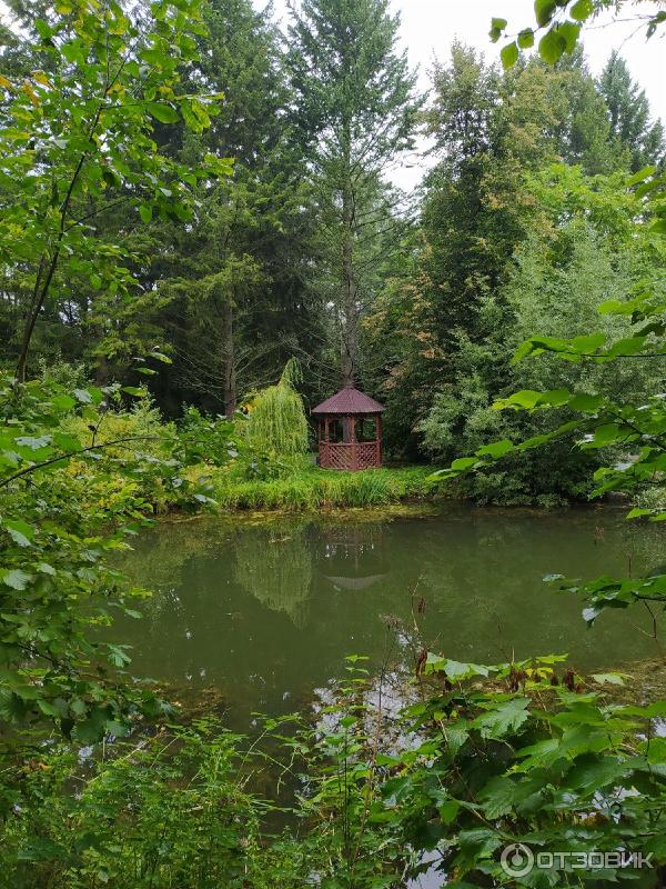 Дендрологический парк (Россия, Переславль-Залесский) фото