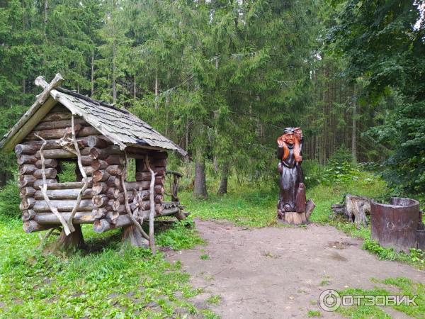 Дендрологический парк (Россия, Переславль-Залесский) фото