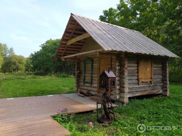 Дендрологический парк (Россия, Переславль-Залесский) фото