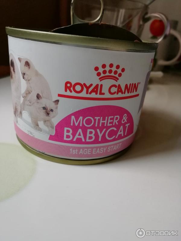 Мусс для котят Royal Canin Mother&Babycat фото