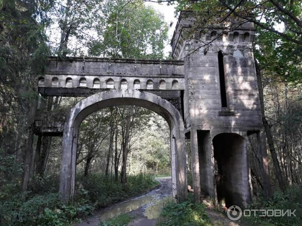 Усадьба инженера Токарского Заветное (Россия, Новгородская область) фото