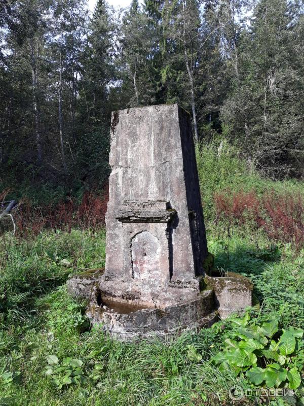 Усадьба инженера Токарского Заветное (Россия, Новгородская область) фото