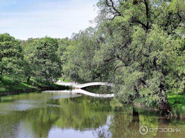 Экскурсия по городу Калининград (Россия)