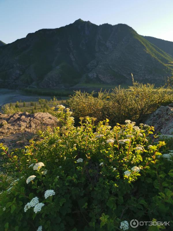 Место слияния Катуни и Чуи (Россия, Алтайский край) фото